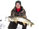 link to Lake Trout Mattson