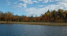 Fall colors 9-29-10