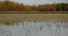 Fall Colors 9-28-2010