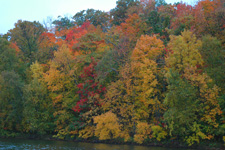 Fall Color 9-23-2010