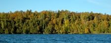 Fall Color Lake Winnibigoshish