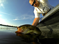 Brett McComas Bass fishing author releases big bass