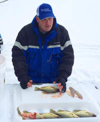 image of Chad Peterson filleting Crappies