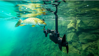 image links to fishing article about bass fishing lures for catching huge bass on the surface