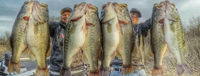 image links to stories about huge fish catches