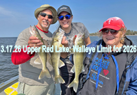 image of anglers with walleyes caught on Upper Red Lake 