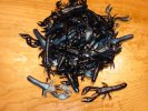 Crawdad 2-1/2 inch Blue & Black