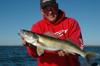 Sundin Lund Mercury Walleye