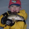 Hey dad, what's wrong with this walleye? Let's eat.