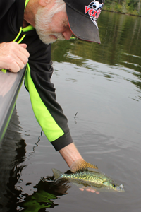 image of greg clusiau releasing crappie